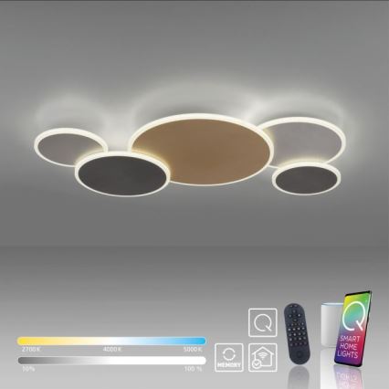 Paul Neuhaus 8008-70 - LED Димируем плафон Q-PIATO LED/49W/230V 2700-5000K Wi-Fi + дистанционно управление
