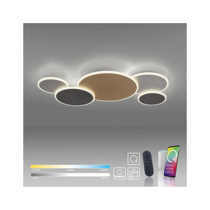 Paul Neuhaus 8008-70 - LED Димируем плафон Q-PIATO LED/49W/230V 2700-5000K Wi-Fi + дистанционно управление