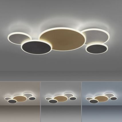 Paul Neuhaus 8008-70 - LED Димируем плафон Q-PIATO LED/49W/230V 2700-5000K Wi-Fi + дистанционно управление