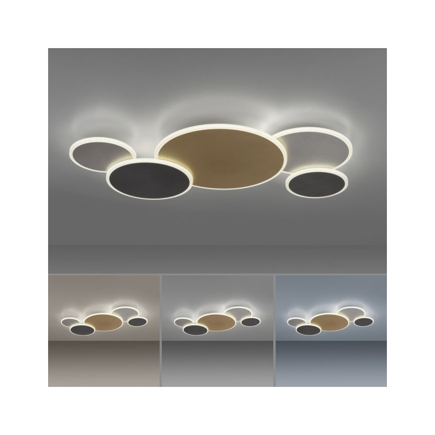 Paul Neuhaus 8008-70 - LED Димируем плафон Q-PIATO LED/49W/230V 2700-5000K Wi-Fi + дистанционно управление