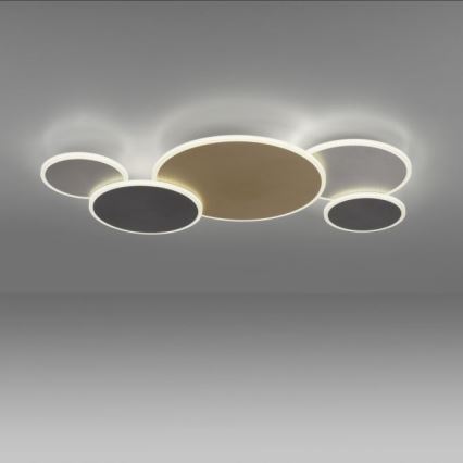 Paul Neuhaus 8008-70 - LED Димируем плафон Q-PIATO LED/49W/230V 2700-5000K Wi-Fi + дистанционно управление