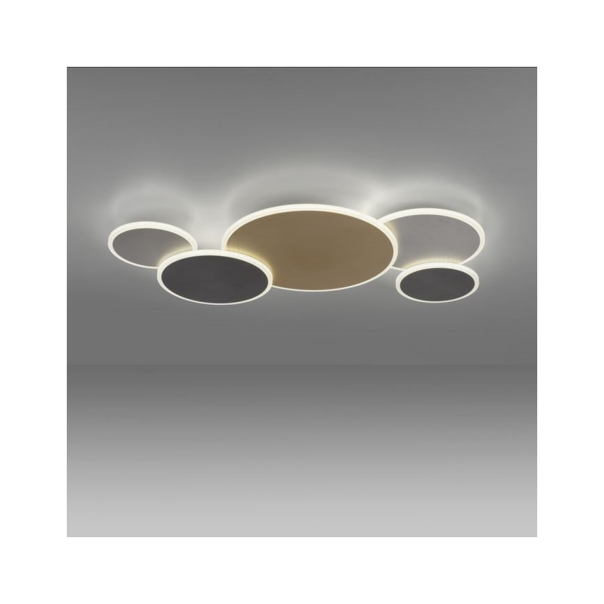 Paul Neuhaus 8008-70 - LED Димируем плафон Q-PIATO LED/49W/230V 2700-5000K Wi-Fi + дистанционно управление