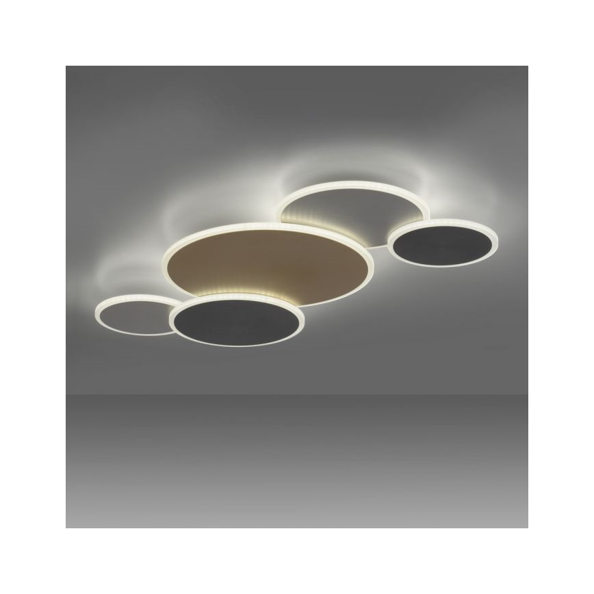 Paul Neuhaus 8008-70 - LED Димируем плафон Q-PIATO LED/49W/230V 2700-5000K Wi-Fi + дистанционно управление
