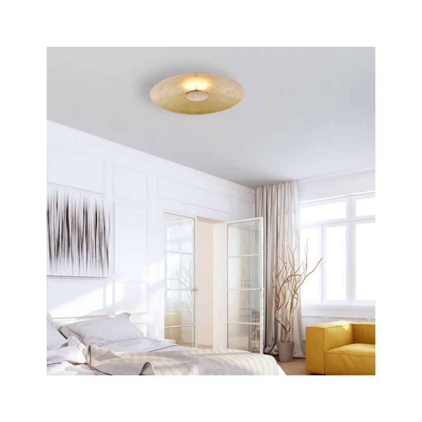 Paul Neuhaus 8132-12 - LED Димируема лампа PLATE LED/25W/230V