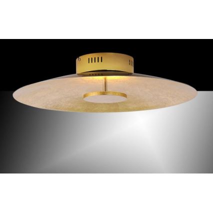 Paul Neuhaus 8132-12 - LED Димируема лампа PLATE LED/25W/230V