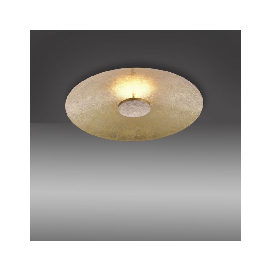 Paul Neuhaus 8132-12 - LED Димируема лампа PLATE LED/25W/230V