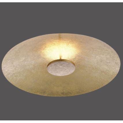 Paul Neuhaus 8132-12 - LED Димируема лампа PLATE LED/25W/230V