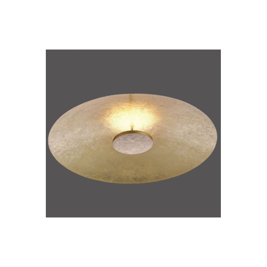 Paul Neuhaus 8132-12 - LED Димируема лампа PLATE LED/25W/230V