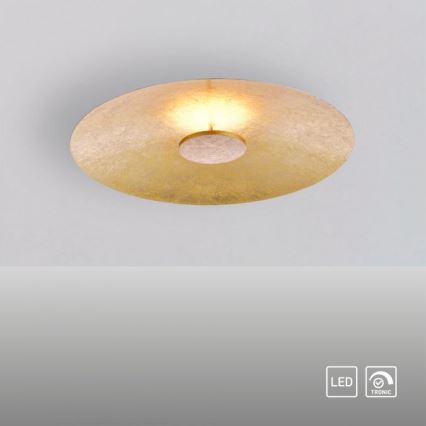 Paul Neuhaus 8132-12 - LED Димируема лампа PLATE LED/25W/230V