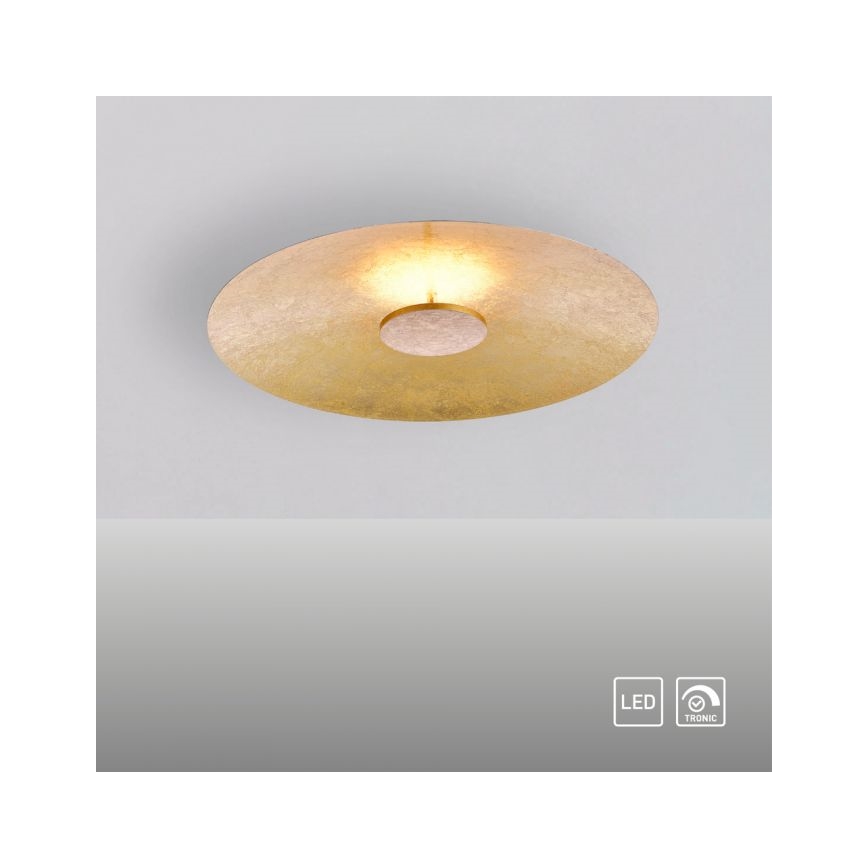 Paul Neuhaus 8132-12 - LED Димируема лампа PLATE LED/25W/230V