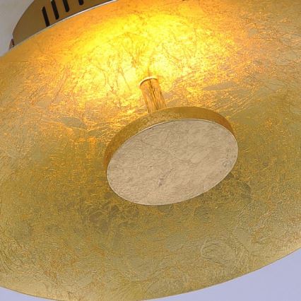 Paul Neuhaus 8132-12 - LED Димируема лампа PLATE LED/25W/230V