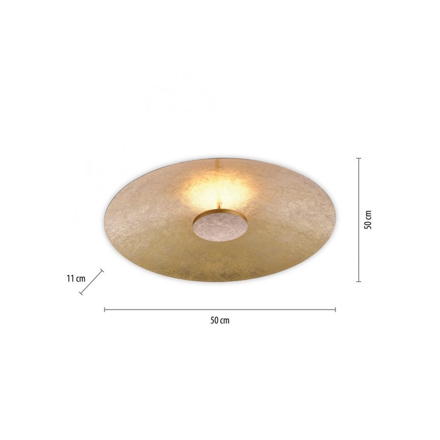 Paul Neuhaus 8132-12 - LED Димируема лампа PLATE LED/25W/230V