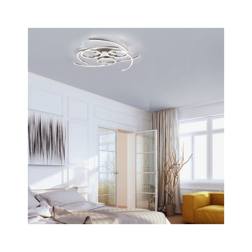 Paul Neuhaus 8165-55 - LED таван DANILO 3xLED / 12W / 230V