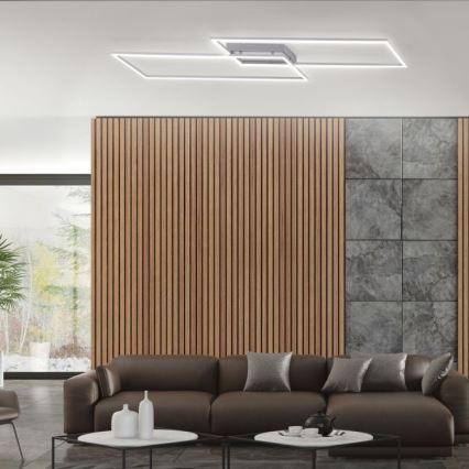 Paul Neuhaus 8194-55 - LED Димируем полилей INIGO 2xLED/20W/230V