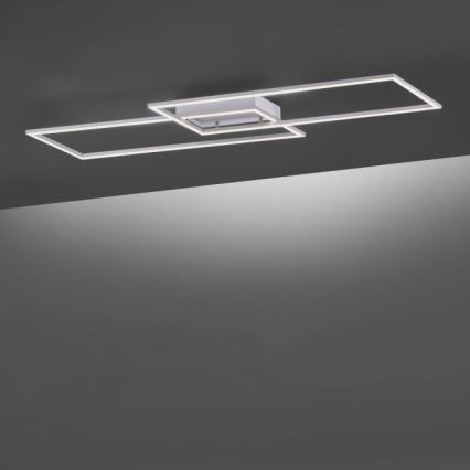 Paul Neuhaus 8194-55 - LED Димируем полилей INIGO 2xLED/20W/230V