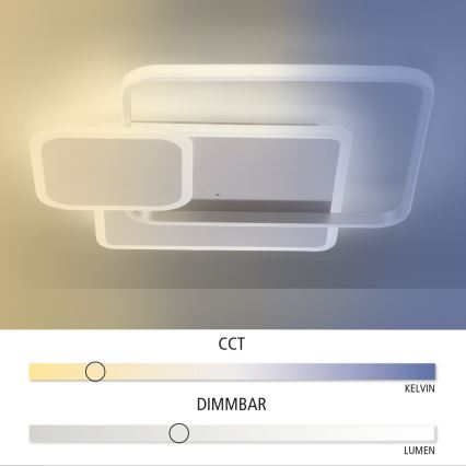 Paul Neuhaus 8319-55 - LED Димируема лампа за таван EMILIO LED/53W/230V + дистанционно