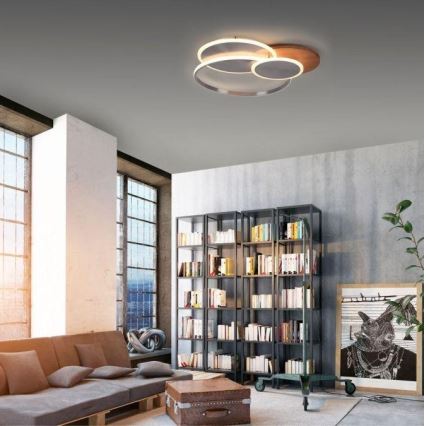 Paul Neuhaus 8328-79 - LED Димируем плафон PALMA LED/50W/230V 2700-5000K бор + дистанционно управление
