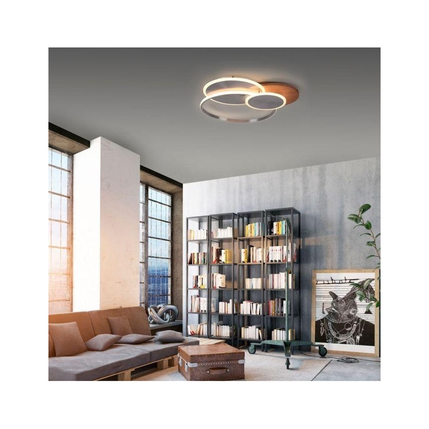 Paul Neuhaus 8328-79 - LED Димируем плафон PALMA LED/50W/230V 2700-5000K бор + дистанционно управление