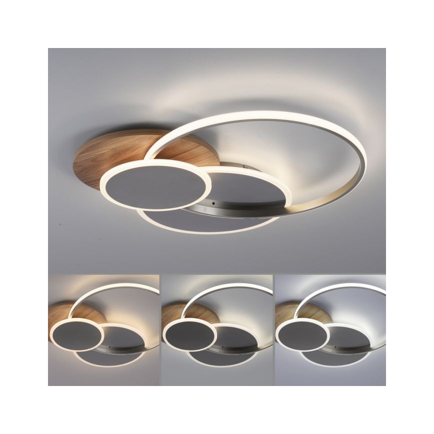 Paul Neuhaus 8328-79 - LED Димируем плафон PALMA LED/50W/230V 2700-5000K бор + дистанционно управление
