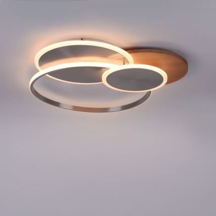 Paul Neuhaus 8328-79 - LED Димируем плафон PALMA LED/50W/230V 2700-5000K бор + дистанционно управление
