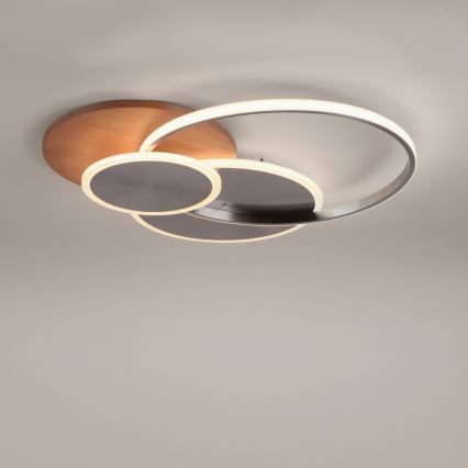Paul Neuhaus 8328-79 - LED Димируем плафон PALMA LED/50W/230V 2700-5000K бор + дистанционно управление