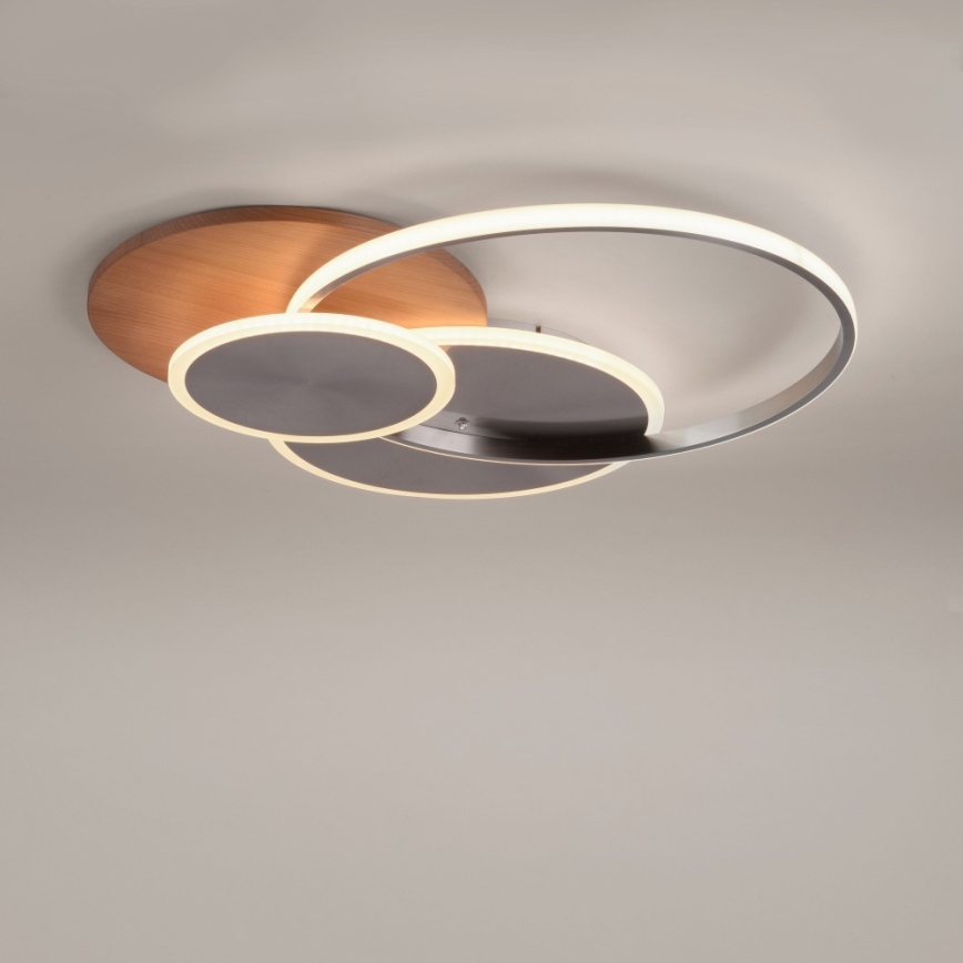 Paul Neuhaus 8328-79 - LED Димируем плафон PALMA LED/50W/230V 2700-5000K бор + дистанционно управление