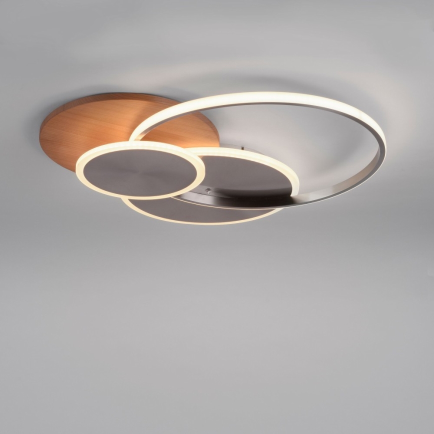 Paul Neuhaus 8328-79 - LED Димируем плафон PALMA LED/50W/230V 2700-5000K бор + дистанционно управление