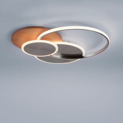 Paul Neuhaus 8328-79 - LED Димируем плафон PALMA LED/50W/230V 2700-5000K бор + дистанционно управление
