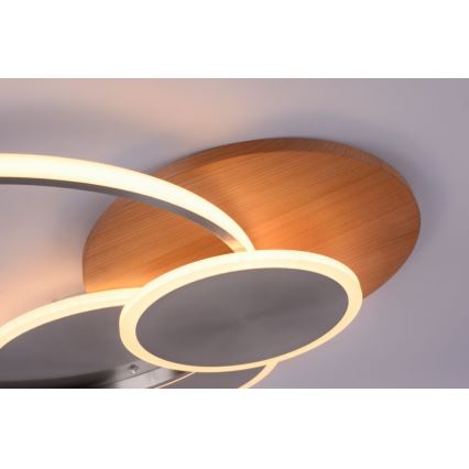 Paul Neuhaus 8328-79 - LED Димируем плафон PALMA LED/50W/230V 2700-5000K бор + дистанционно управление