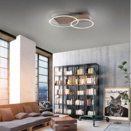 Paul Neuhaus 8329-79 - LED Димируем полилей за повърхностен монтаж PALMA LED/26W/230V 2700-5000K бор + дистанционно управление