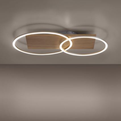Paul Neuhaus 8329-79 - LED Димируем полилей за повърхностен монтаж PALMA LED/26W/230V 2700-5000K бор + дистанционно управление