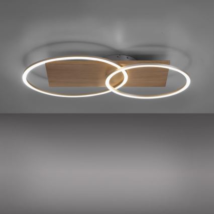 Paul Neuhaus 8329-79 - LED Димируем полилей за повърхностен монтаж PALMA LED/26W/230V 2700-5000K бор + дистанционно управление