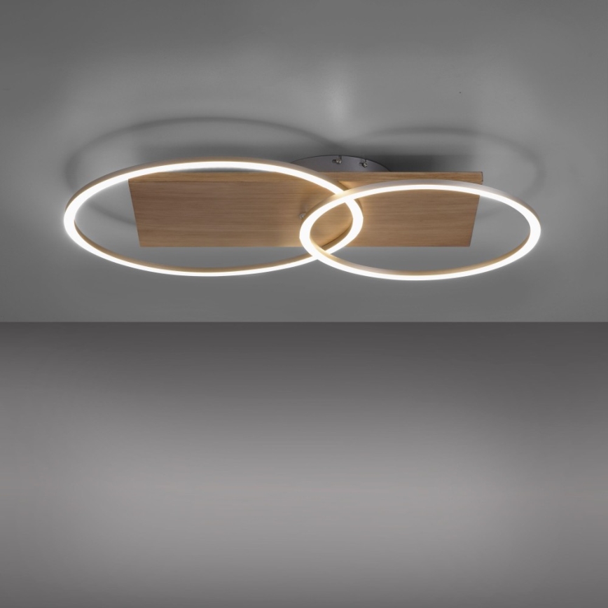 Paul Neuhaus 8329-79 - LED Димируем полилей за повърхностен монтаж PALMA LED/26W/230V 2700-5000K бор + дистанционно управление