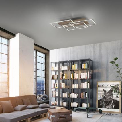 Paul Neuhaus 8330-79 - LED Димируем полилей за повърхностен монтаж PALMA 3xLED/12W/230V бор + дистанционно управление