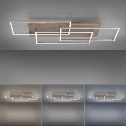 Paul Neuhaus 8330-79 - LED Димируем полилей за повърхностен монтаж PALMA 3xLED/12W/230V бор + дистанционно управление