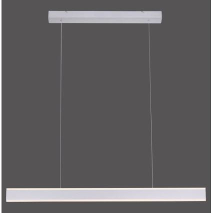 Paul Neuhaus 8363-55 - LED Димируем висящ полилей със сензор ARINA LED/20W/230V