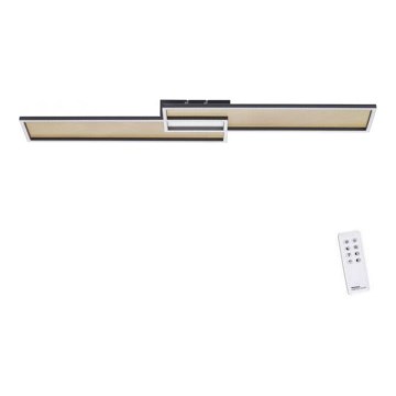 Paul Neuhaus 8371-18 - LED Димируема лампа за таван AMARA LED/40W/230V + дистанционно