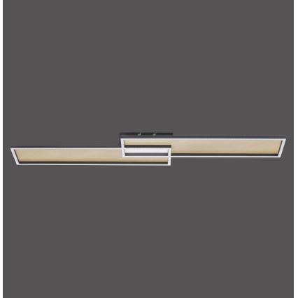 Paul Neuhaus 8371-18 - LED Димируема лампа за таван AMARA LED/40W/230V + дистанционно