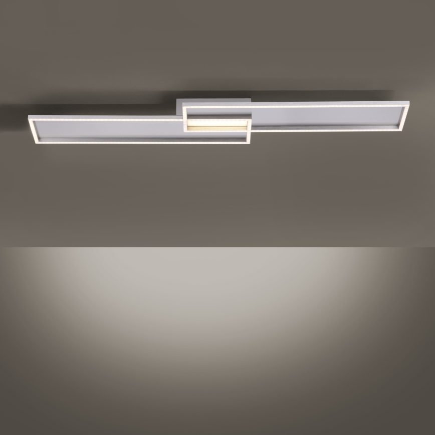 Paul Neuhaus 8371-55 - LED Димируема лампа за таван AMARA LED/40W/230V + дистанционно