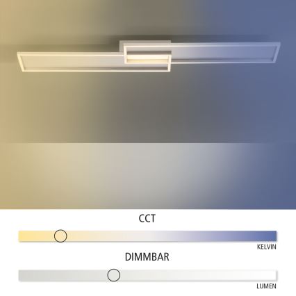 Paul Neuhaus 8371-55 - LED Димируема лампа за таван AMARA LED/40W/230V + дистанционно