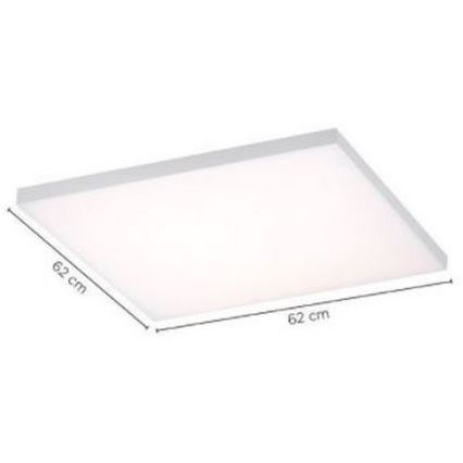 Paul Neuhaus 8492-16 - LED Димируема лампа FRAMELESS LED/35W/230V + дистанционно