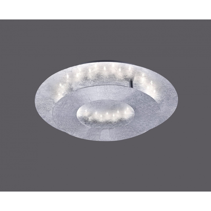 Paul Neuhaus 9011-21 - LED Лампа NEVIS LED/6W/230V сребриста