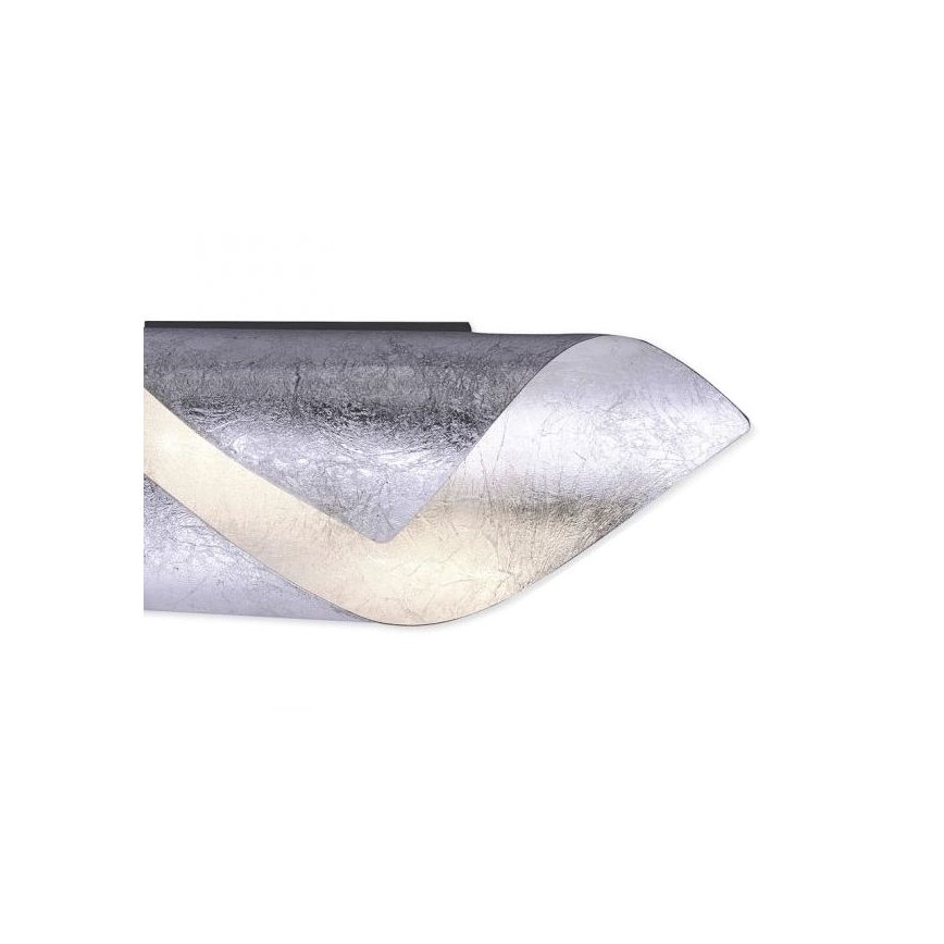 Paul Neuhaus 9030-21 - LED Аплик NEVIS LED/6W/230V сребрист