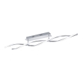 Paul Neuhaus 9143-55 - LED Димируем повърхностен полилей POLINA 2xLED/10,2W/230V
