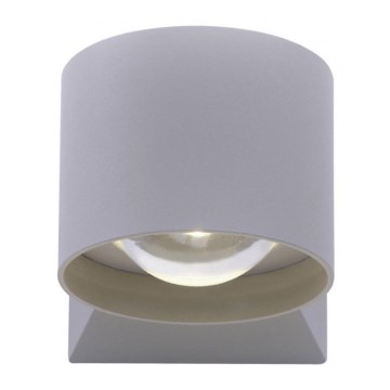 Paul Neuhaus 9441-21 - LED Екстериорен аплик TIMO 2xLED/2W/230V IP54