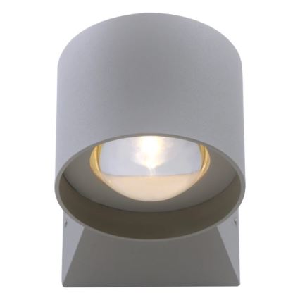 Paul Neuhaus 9441-21 - LED Екстериорен аплик TIMO 2xLED/2W/230V IP54