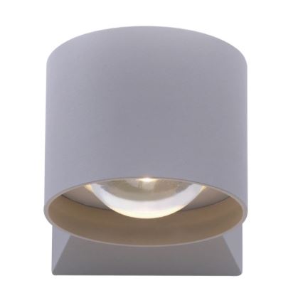 Paul Neuhaus 9441-21 - LED Екстериорен аплик TIMO 2xLED/2W/230V IP54