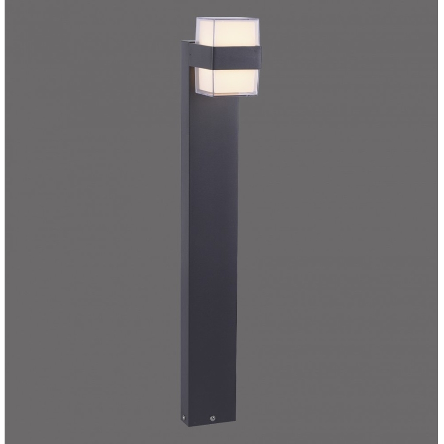 Paul Neuhaus 9481-13 - LED Екстериорна лампа CARA LED/8W/230V IP44
