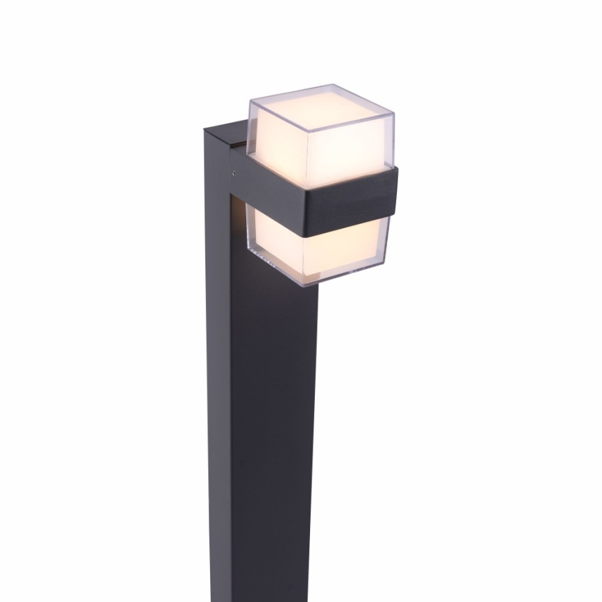 Paul Neuhaus 9481-13 - LED Екстериорна лампа CARA LED/8W/230V IP44