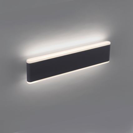 Paul Neuhaus 9484-13 - LED Димируем екстериорен аплик ELSA 2xLED/9W/230V IP65